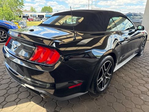 Used 2019 Ford Mustang Premium RWD image 6