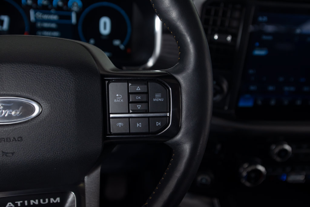 Used 2021 Ford F150 Platinum RWD image 48