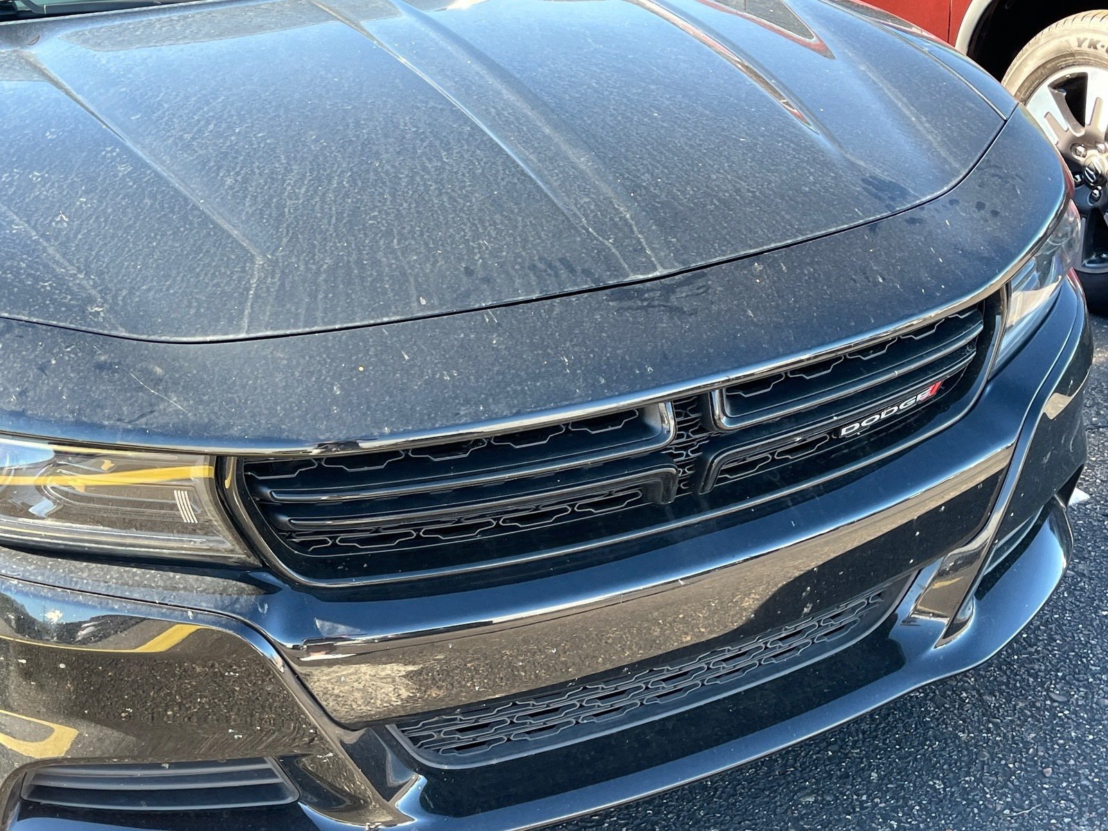 Used 2023 Dodge Charger SXT w/ Blacktop Package RWD image 7