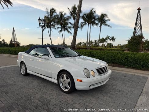 Used 2001 Mercedes-Benz CLK 430 Cabriolet image 12