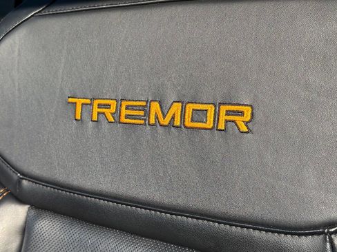 Used 2025 Ford Expedition Tremor AWD/4WD image 26
