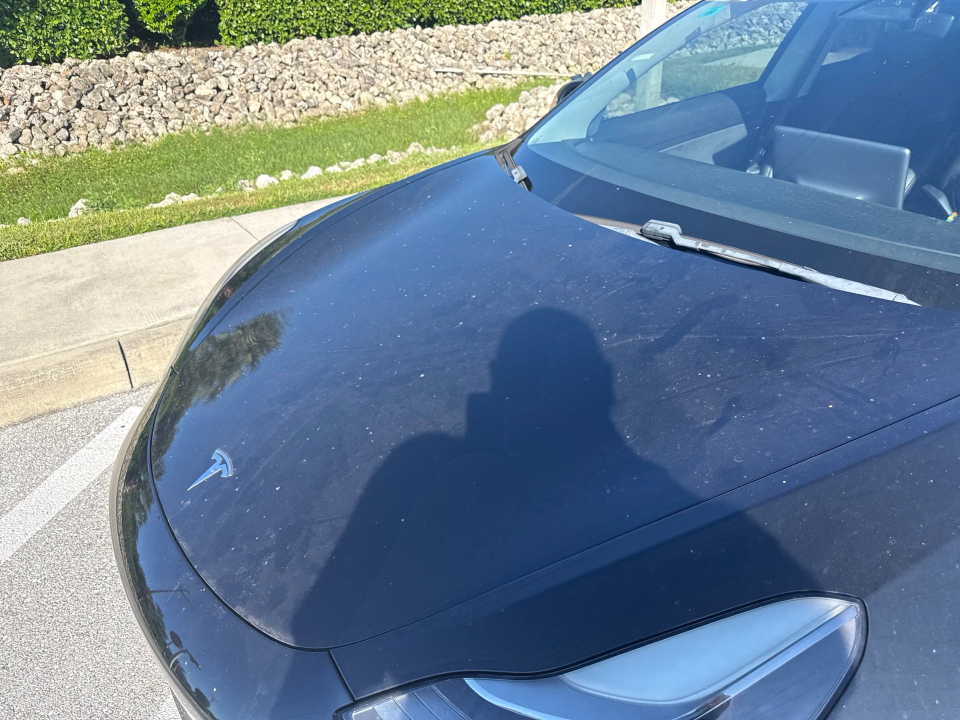 Used 2021 Tesla Model 3 Standard Range Plus RWD image 3
