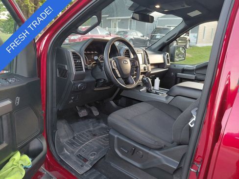 Used 2019 Ford F150 XLT w/ Equipment Group 302A Luxury AWD/4WD image 4