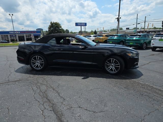 Used 2016 Ford Mustang Premium RWD image 7