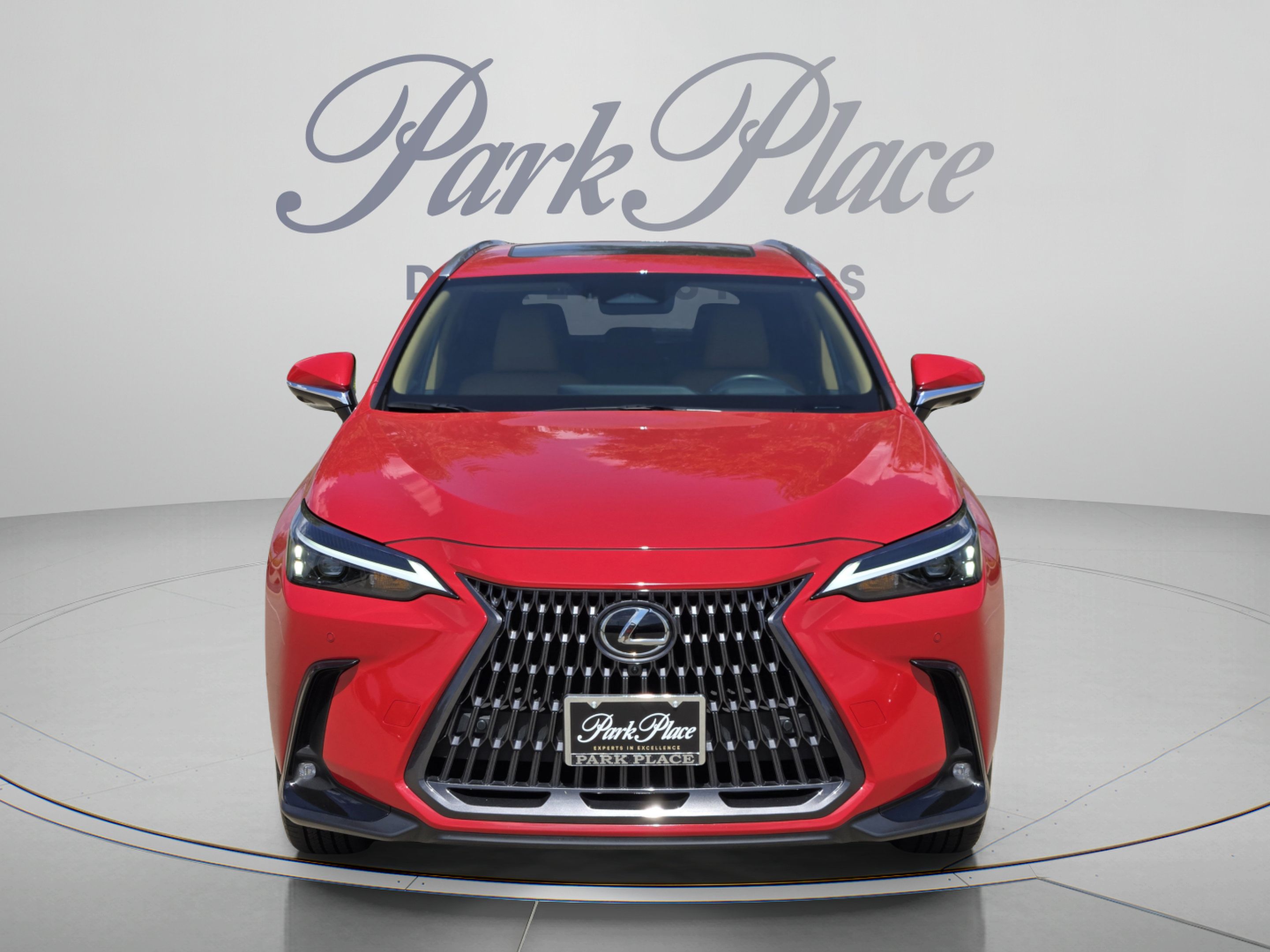 Used 2025 Lexus NX 350 AWD w/ Premium Package image 8