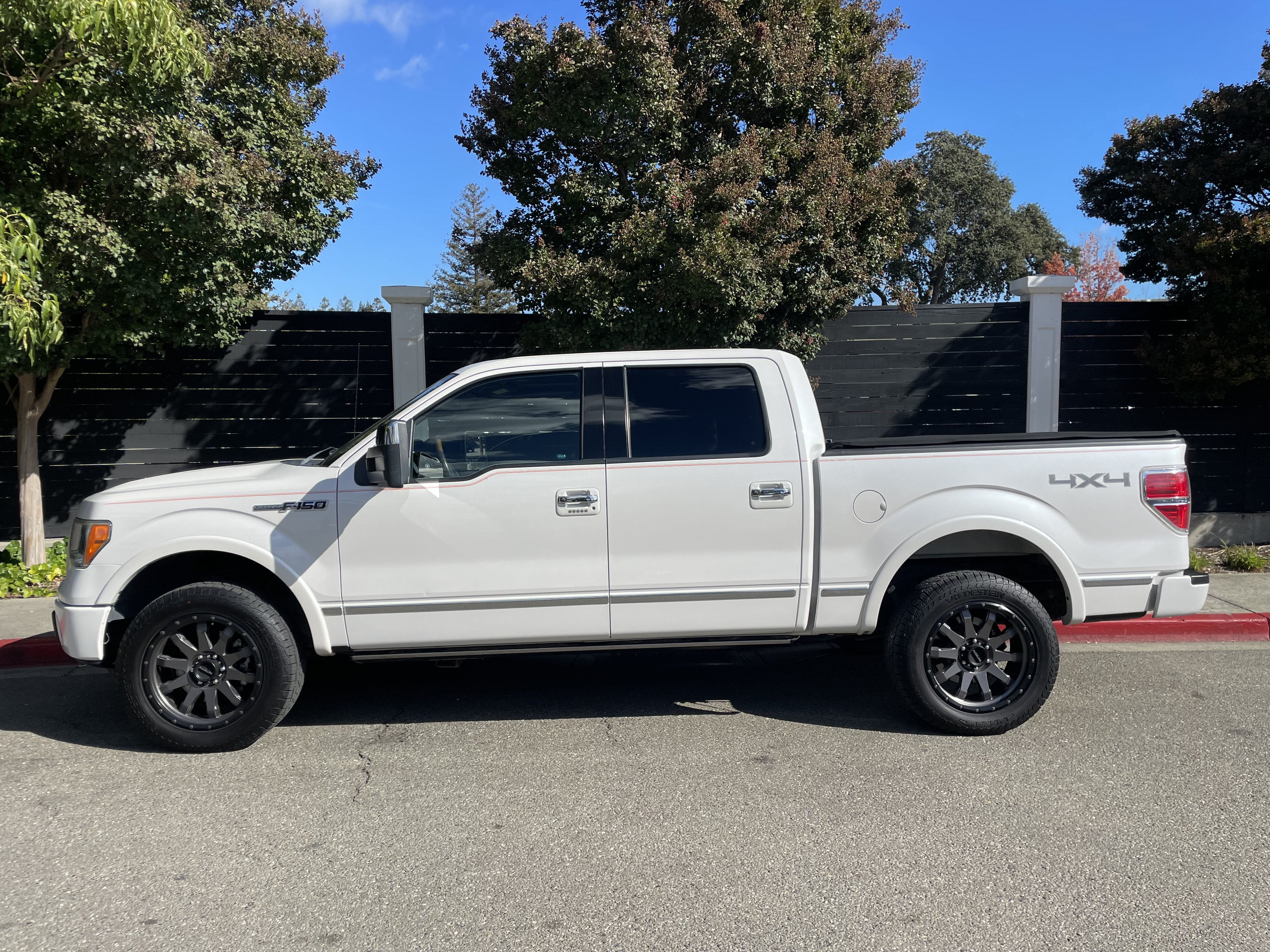 Used 2010 Ford F150 Platinum AWD/4WD image 2