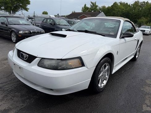 Used 2003 Ford Mustang Convertible RWD image 2