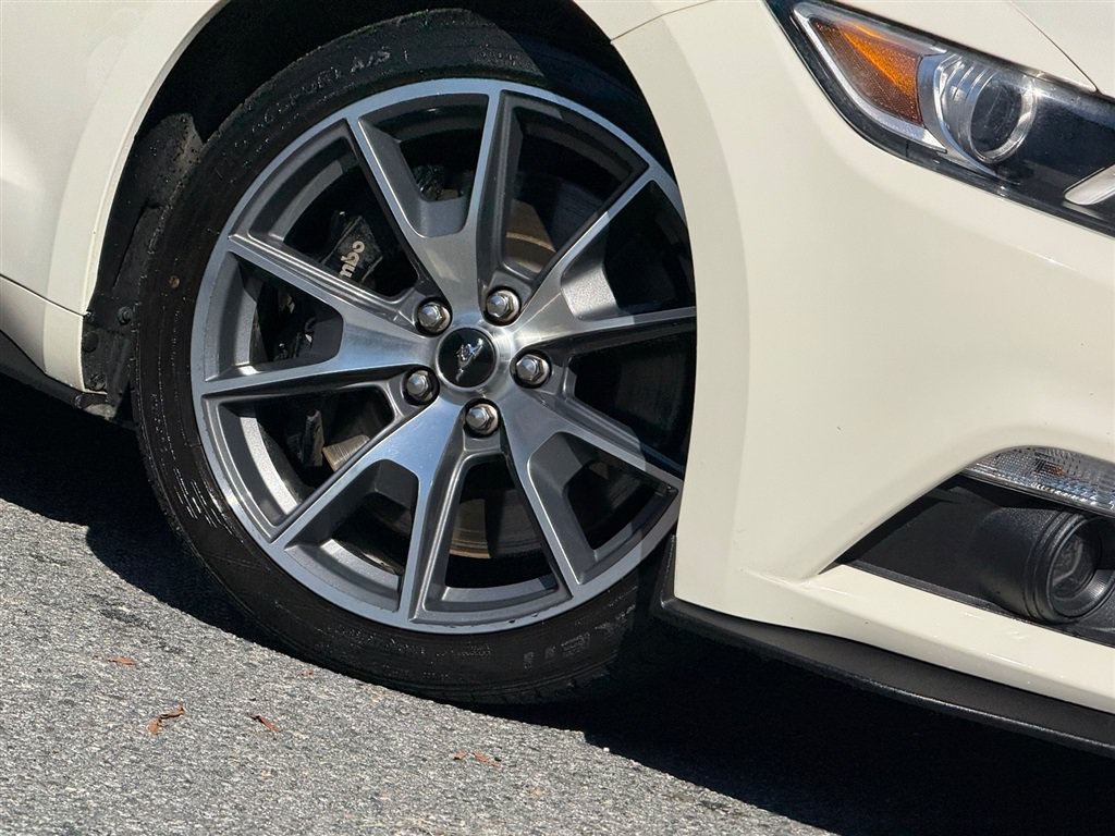 Used 2015 Ford Mustang 50 Years RWD image 29