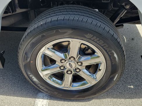 Used 2025 Ford F150 XLT w/ Equipment Group 301A Standard RWD image 8