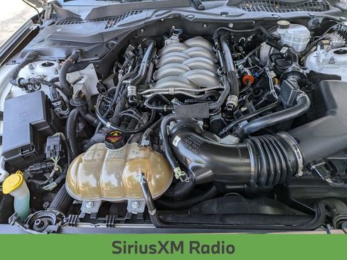 Used 2019 Ford Mustang GT w/ Equipment Group 301A RWD image 13