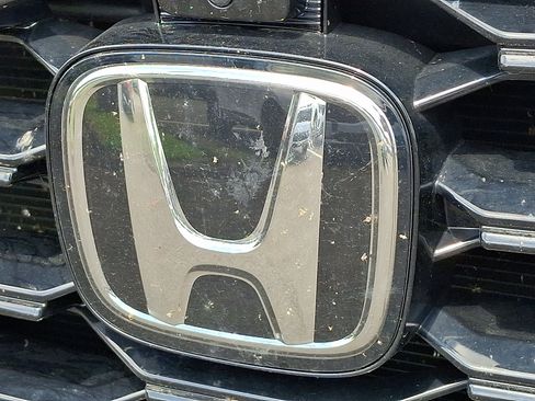 Used 2025 Honda Pilot Black Edition image 31