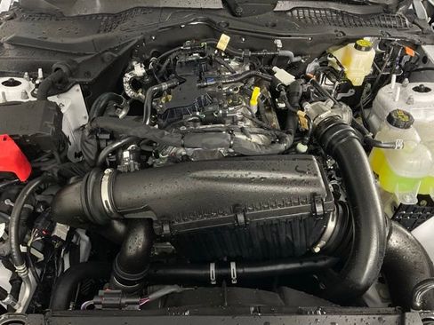 New 2026 Ford Mustang Coupe w/ Mustang Nite Pony Package image 9