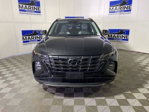 Used 2023 Hyundai Tucson Limited image 12