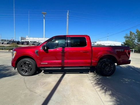 Used 2022 Ford F150 XLT w/ Equipment Group 302A High image 2