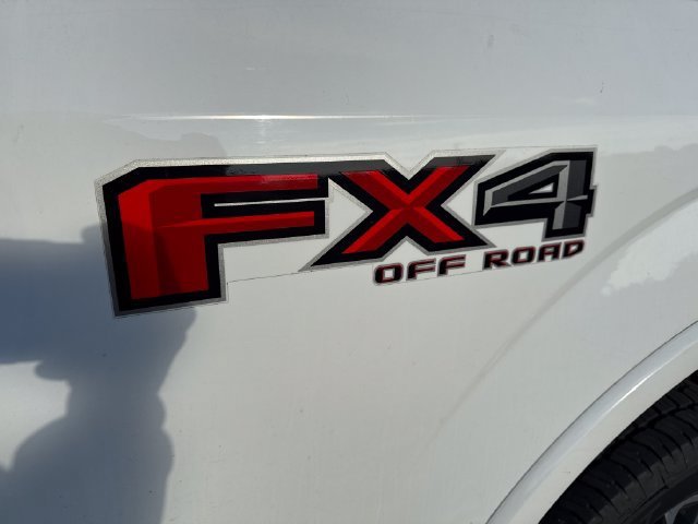 Used 2019 Ford F150 XLT w/ Equipment Group 302A Luxury AWD/4WD image 20