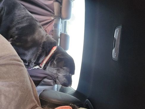 New 2025 Chevrolet Express 2500 w/ Enhanced Convenience Package image 20