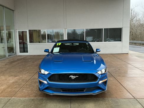 Used 2019 Ford Mustang Premium image 2