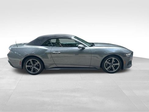 Used 2024 Ford Mustang Premium RWD image 7
