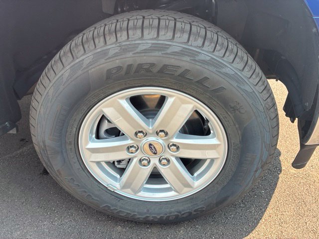 New 2026 Ford F150 XL w/ Equipment Group 103A High AWD/4WD image 10