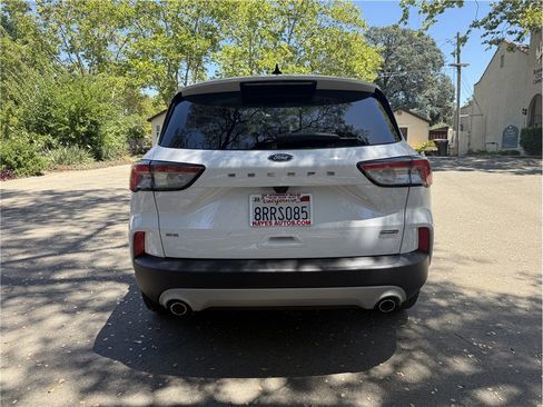 Used 2020 Ford Escape SE Sport AWD/4WD image 6
