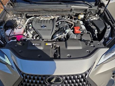 Certified 2025 Lexus NX 350 AWD w/ Cold Area Package image 29