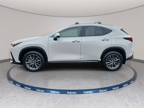 Used 2025 Lexus NX 350h AWD w/ Premium Package image 8