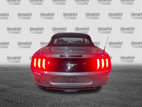 Used 2021 Ford Mustang Premium RWD image 10