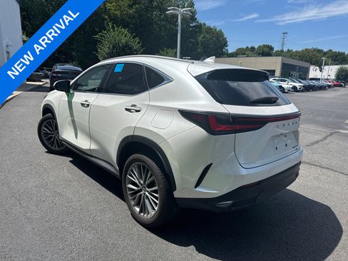 Used 2023 Lexus NX 350 AWD image 4