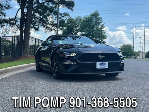 Used 2019 Ford Mustang GT Premium w/ Equipment Group 401A RWD image 3