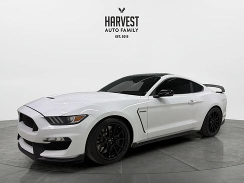 Used 2019 Ford Mustang Shelby GT350 w/ Technology Package RWD image 1