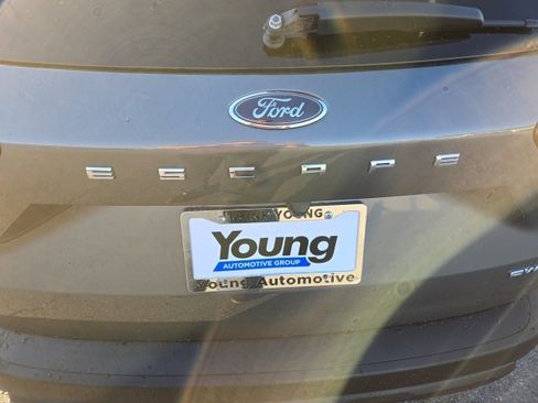 Used 2025 Ford Escape ST-Line image 23