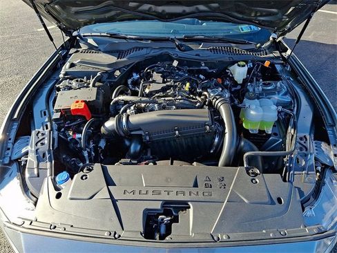Used 2025 Ford Mustang Coupe image 28