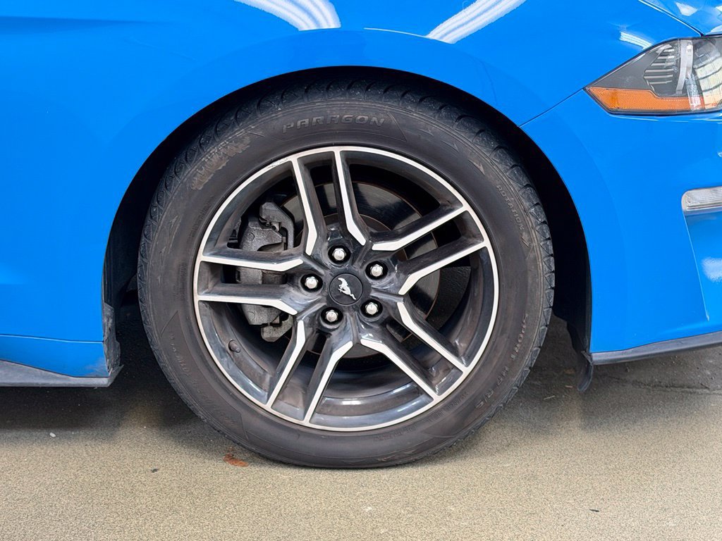 Used 2022 Ford Mustang Premium RWD image 4