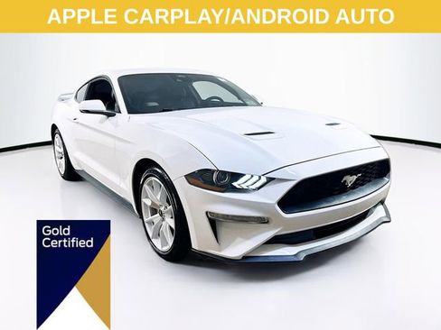 Certified 2023 Ford Mustang Premium w/ Equipment Group 201A image 1