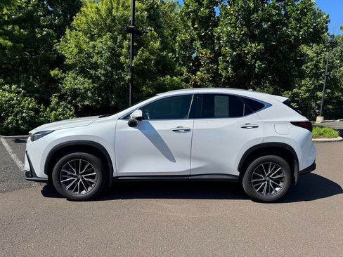 Used 2024 Lexus NX 250 AWD w/ Cold Area Package image 2