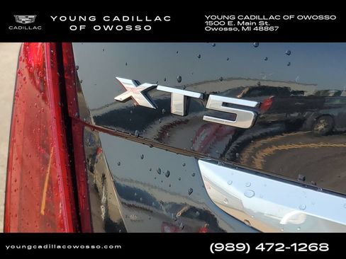Used 2023 Cadillac XT5 Premium Luxury AWD/4WD image 33