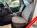 Used 2020 Ford Escape SE image 4