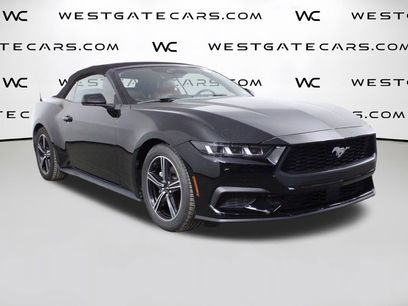 Used 2024 Ford Mustang Premium