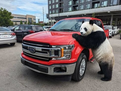 Used 2018 Ford F150 XLT RWD image 1