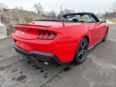 Used 2024 Ford Mustang Premium image 6