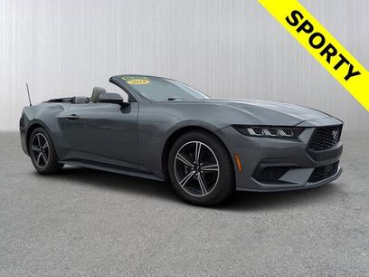Used 2024 Ford Mustang Premium
