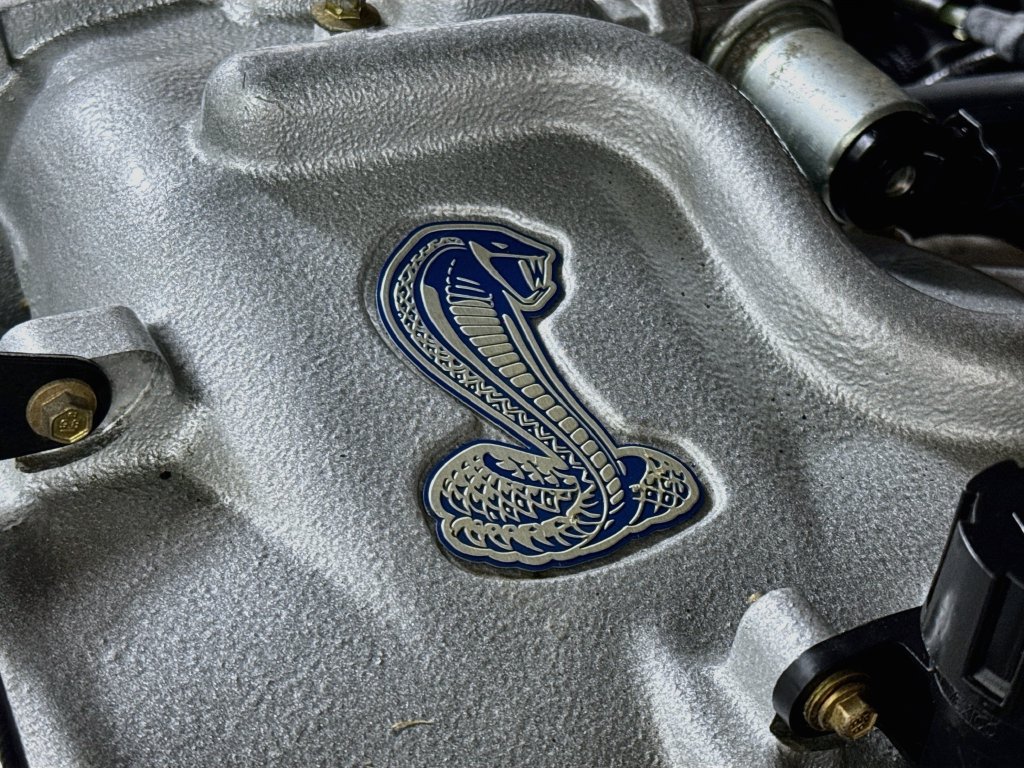 Used 2001 Ford Mustang Cobra RWD image 30