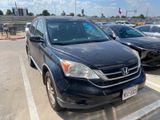 Used 2010 Honda CR-V EX-L image 3