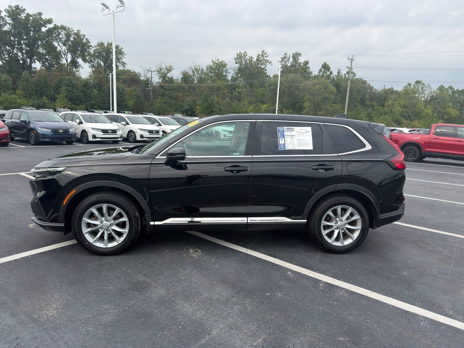 Used 2024 Honda CR-V EX-L image 3