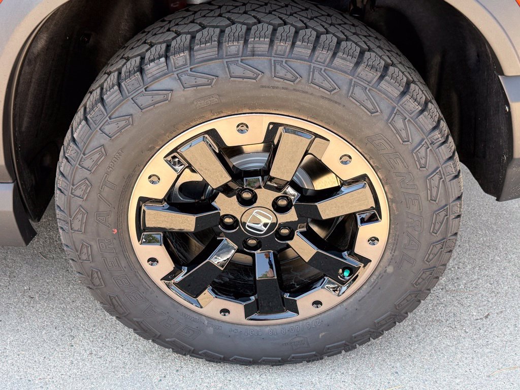 New 2026 Honda Passport TrailSport Elite image 11