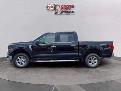 Used 2025 Ford F150 XLT w/ Equipment Group 301A Standard