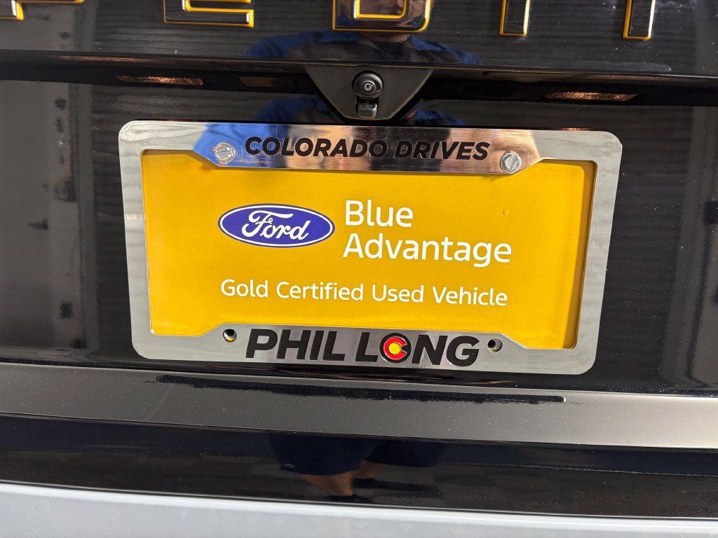 Used 2025 Ford Expedition Tremor AWD/4WD image 33