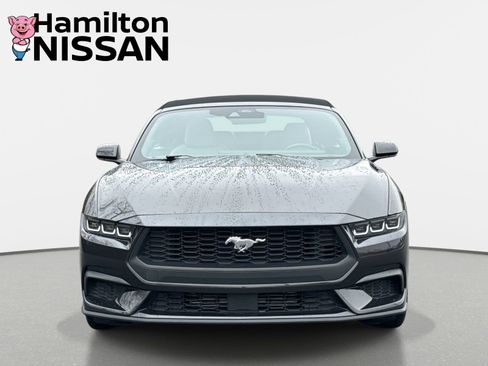 Used 2024 Ford Mustang Premium image 6