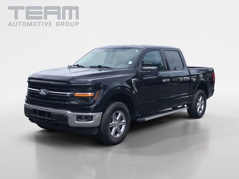 Used 2025 Ford F150 XLT w/ Equipment Group 301A Standard AWD/4WD image 3