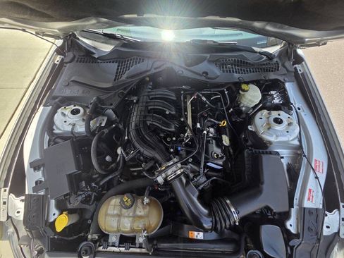 Used 2016 Ford Mustang Coupe w/ Equipment Group 051A RWD image 13